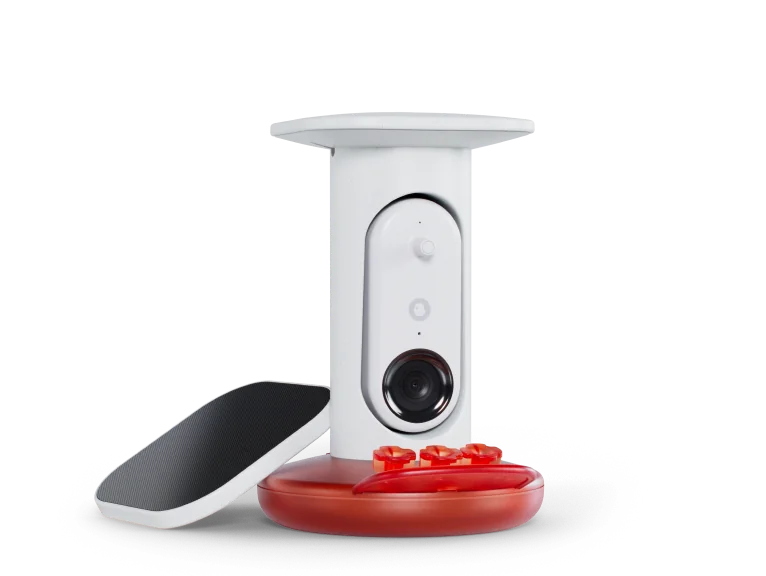 Hummingbird Feeder Pro Solar