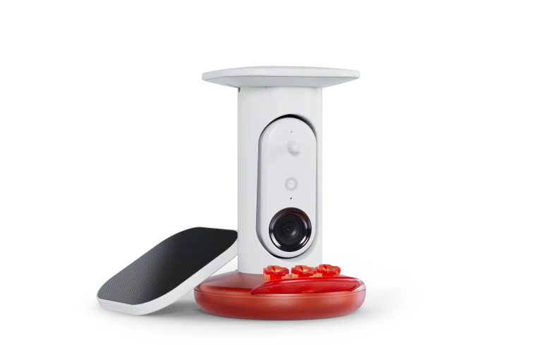 Hummingbird Feeder Pro Solar