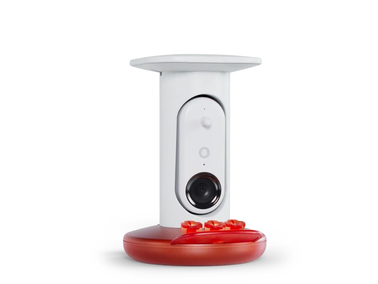 Hummingbird Feeder Pro