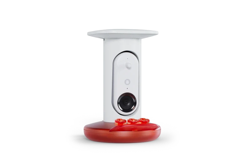 Hummingbird Feeder Pro