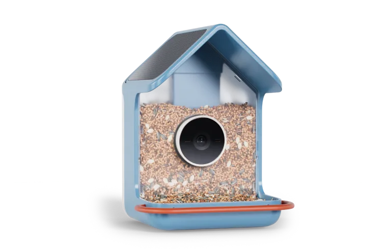 Birdbuddy Home