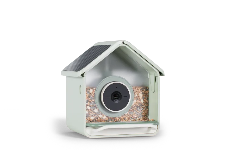 Birdbuddy Nook Solar