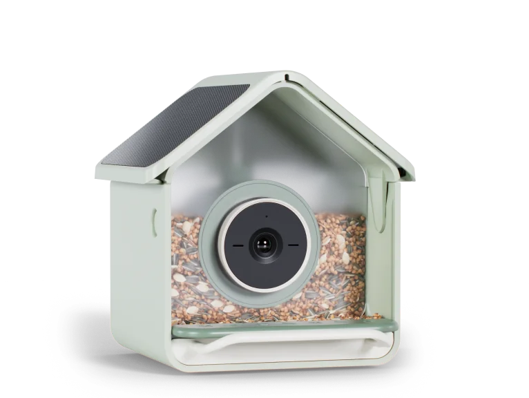 Birdbuddy Nook Solar