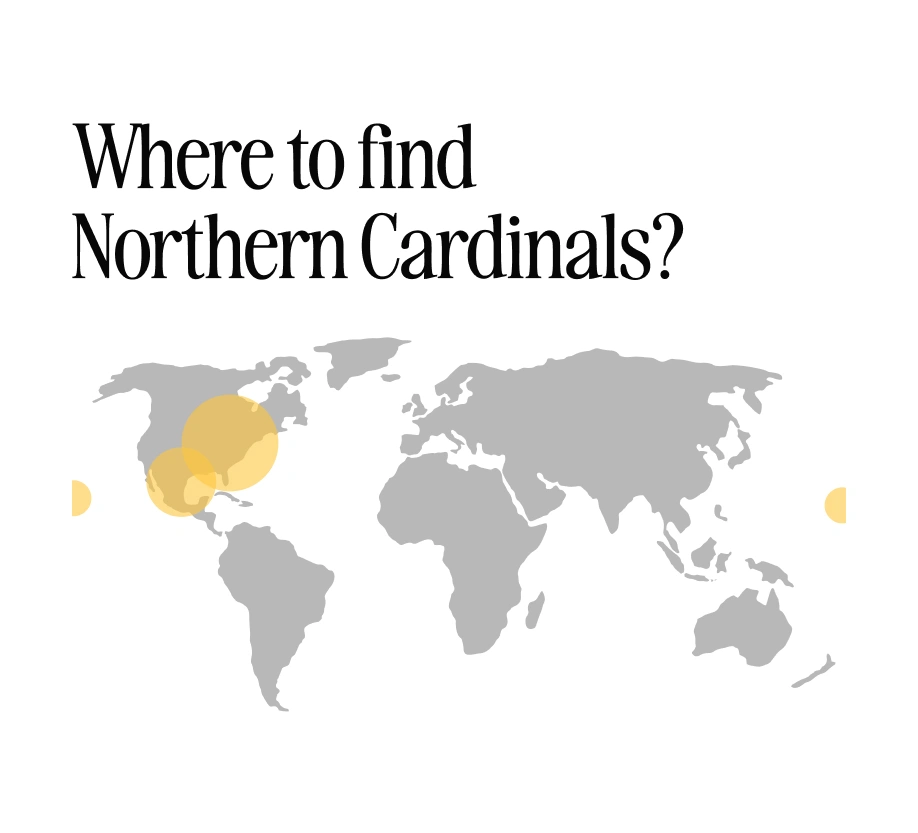 cardinals